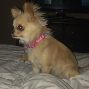 Meet your Posher, Nanc